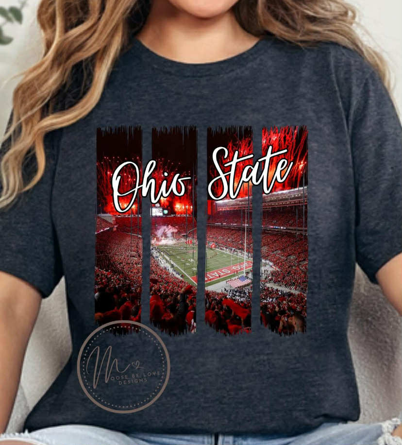 OSU Panels
